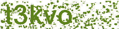Mã bảo vệ